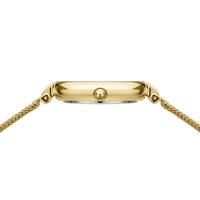 Dameur med meshlænke